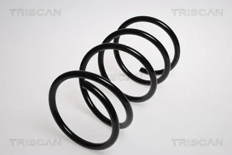 Пружина ходовой части TRISCAN 87504079