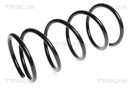 Пружина ходовой части TRISCAN 87504083