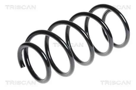Пружина ходовой части TRISCAN 87504085