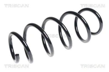 Пружина ходовой части TRISCAN 87504089