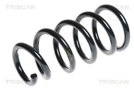 Пружина ходовой части TRISCAN 87504095