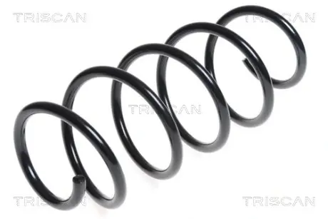 Пружина ходовой части TRISCAN 87504096
