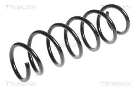 Пружина ходовой части TRISCAN 87504114