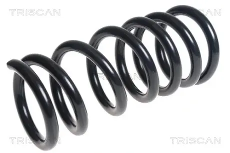 Пружина ходовой части TRISCAN 875042102
