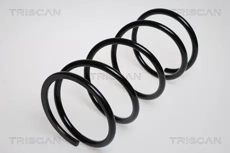 Пружина ходовой части TRISCAN 87504224