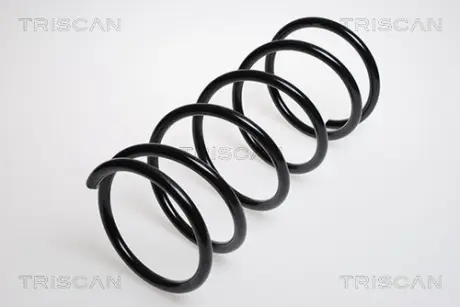 Пружина ходовой части TRISCAN 87504227