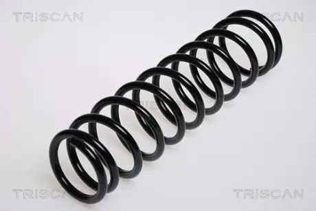 Пружина ходовой части TRISCAN 87504230