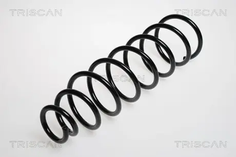 Пружина ходовой части TRISCAN 87504234
