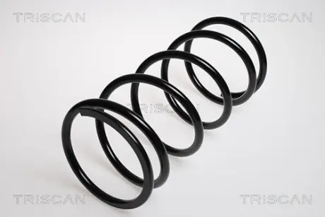 Пружина ходовой части TRISCAN 87504239