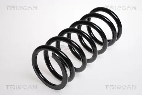Пружина ходовой части TRISCAN 87504242