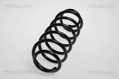Пружина ходовой части TRISCAN 87504245
