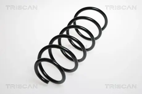 Пружина ходовой части TRISCAN 87504247