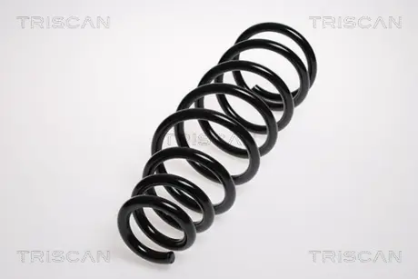 Пружина ходовой части TRISCAN 87504248