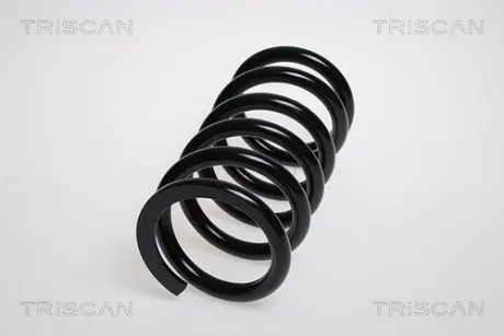 Пружина ходовой части TRISCAN 87504249