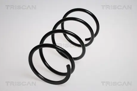 Пружина ходовой части TRISCAN 87504251