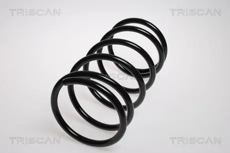 Пружина ходовой части TRISCAN 87504256