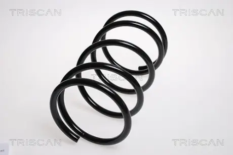 Пружина ходовой части TRISCAN 87504257
