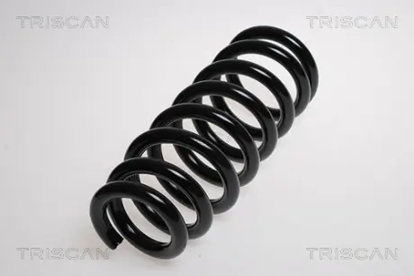 Пружина ходовой части TRISCAN 87504258