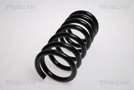 Пружина ходовой части TRISCAN 87504259
