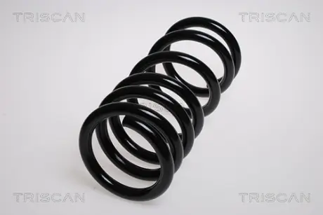Пружина ходовой части TRISCAN 87504260