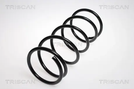 Пружина ходовой части TRISCAN 87504267