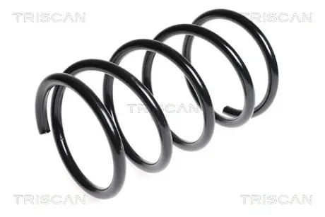Пружина ходовой части TRISCAN 87504268