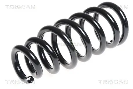 Пружина ходовой части TRISCAN 87504270