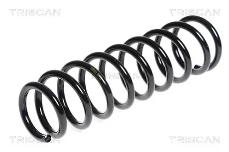 Пружина ходовой части TRISCAN 87504274