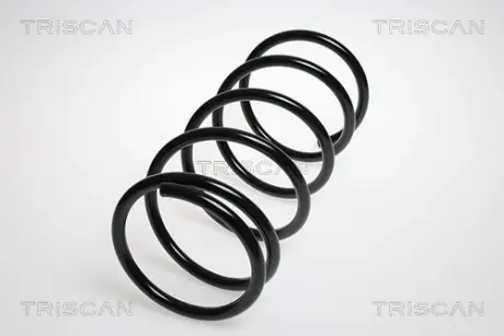 Пружина ходовой части TRISCAN 87504275