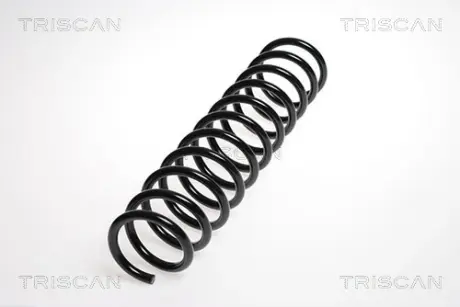 Пружина ходовой части TRISCAN 87504276