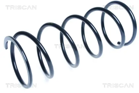 Пружина ходовой части TRISCAN 87504281
