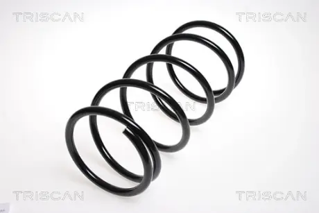 Пружина ходовой части TRISCAN 87504283