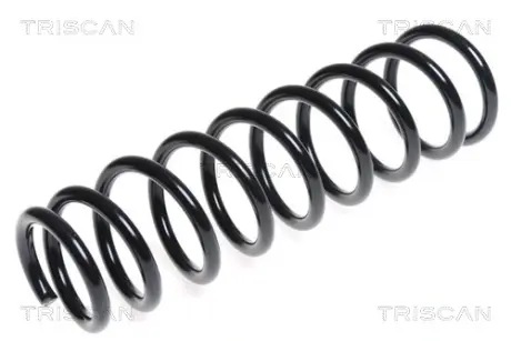 Пружина ходовой части TRISCAN 87504290
