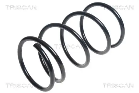 Пружина ходовой части TRISCAN 87504291
