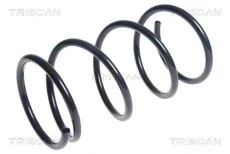 Пружина ходовой части TRISCAN 87504292