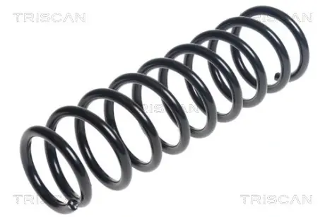 Пружина ходовой части TRISCAN 87504295