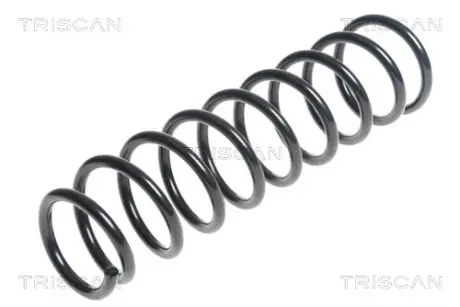 Пружина ходовой части TRISCAN 87504296