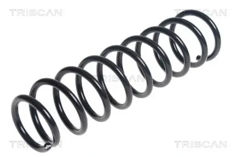 Пружина ходовой части TRISCAN 87504297