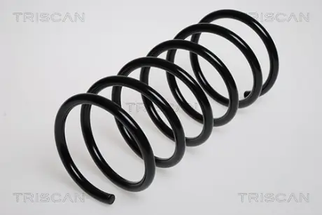 Пружина ходовой части TRISCAN 87504305