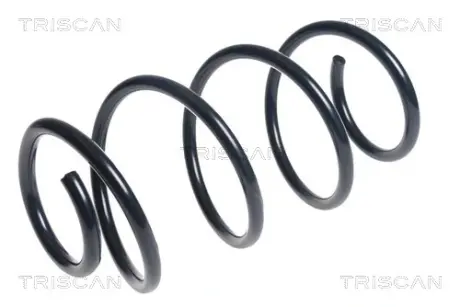 Пружина ходовой части TRISCAN 875043106