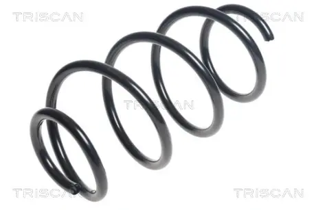 Пружина ходовой части TRISCAN 875043108