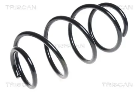 Пружина ходовой части TRISCAN 875043111