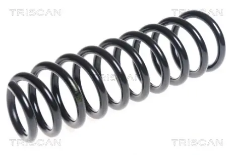 Пружина ходовой части TRISCAN 875043113