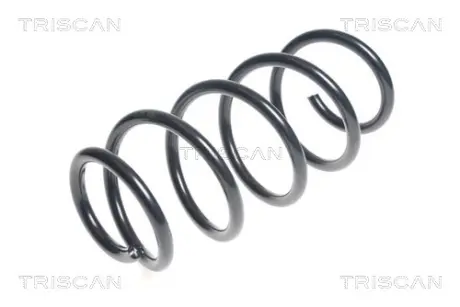 Пружина ходовой части TRISCAN 875043117