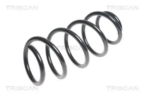 Пружина ходовой части TRISCAN 875043118