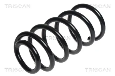 Пружина ходовой части TRISCAN 875043120