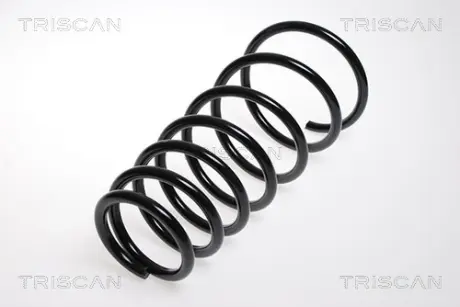 Пружина ходовой части TRISCAN 87504312