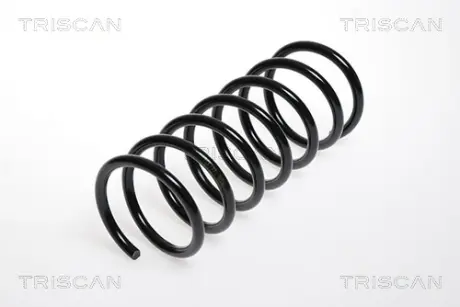 Пружина ходовой части TRISCAN 87504314