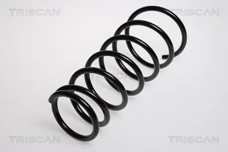 Пружина ходовой части TRISCAN 87504319