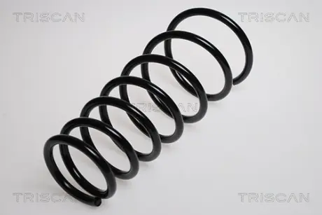 Пружина ходовой части TRISCAN 87504322